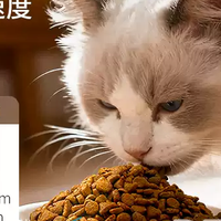 纽顿T24猫粮！肥胖猫咪的救星，健康减重不挨饿