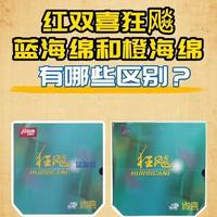 狂飚蓝海绵与橙海绵的核心差异解析