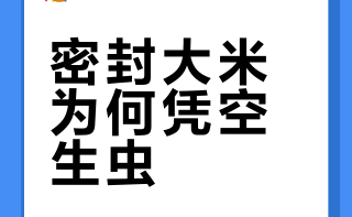 一袋密封好的大米，为什么会长出虫子？江湖殷大侠的微博视频