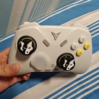 飞智冰原狼4和北通鲲鹏20