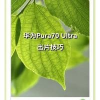 华为Pura70 Ultra专业模式全攻略：12组参数直出大片