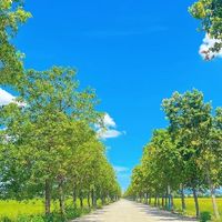 5000元装机：CPU与显卡的选择