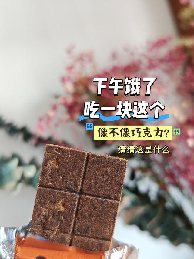 压缩饼干什么味道？咬得动吗？试试新买的巧克力味压缩饼干