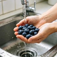 蓝莓价格大跳水！每天一把抗炎？最近很多广州人都在买
