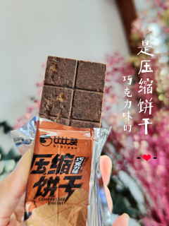 压缩饼干什么味道？咬得动吗？试试新买的巧克力味压缩饼干