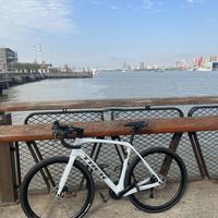 domane彻底变成大沙发