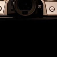 初学摄影：为橘猫拍摄美好瞬间