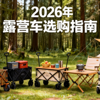 2026年露营车选购指南：这10台车，从百元到千元都给你挑好了！