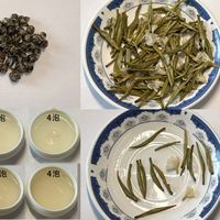 实测！ 四川VS福建茉莉花茶，谁更值得入手？