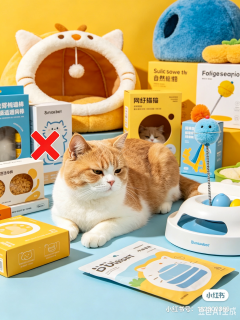 养猫3年｜别再被网红清单坑了！刚需&避雷清单大公开🐱 