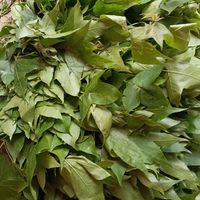 广西黑色糯米饭的制作方法