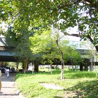 让我买到了垫底辣孩柯达c330平替！