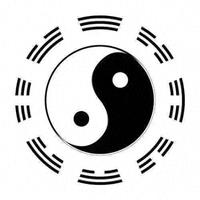 太极新手每日练法：基本功+站桩精准安排，入门少走弯路。