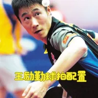 王励勤职业生涯球拍配置全解析：从巅峰战拍到奥运备用拍