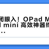 通勤党闭眼入！OPad Mini vs iPad mini 高效神器终极对决，看完秒懂哪款才是你的效率搭子