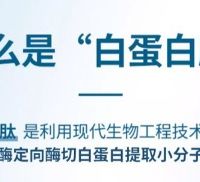 体虚人群白蛋白肽饮液选什么牌子好?十大品牌精选推荐,温和滋补