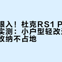 租客闭眼入！杜克RS1 PLUS螺丝刀实测：小户型轻改造效率翻倍，收纳不占地