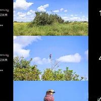 华为 Pura 90 Pro Max 拍照技巧：解锁全焦段影像天花板
