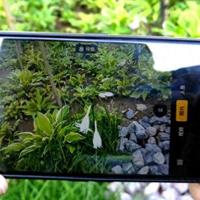 荣耀用户必学！相机简单手动调试，随手拍照清晰度直接翻倍
