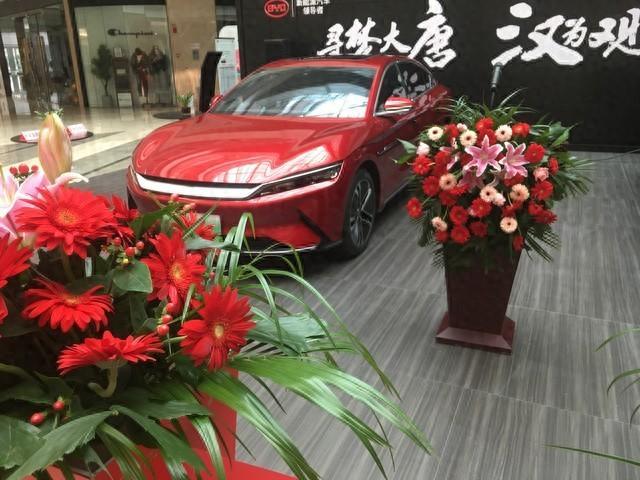 买电车选不选比亚迪？先看这5个扎心事实，再掏钱也不迟