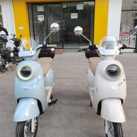 爱玛爱朵蓝色、咖色你喜欢哪一个
