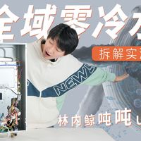 【拆机实测】林内鲸吨吨Ultra零冷水燃热： 鲸量水伺服+20L大水量，多点用水真的不忽冷忽热？