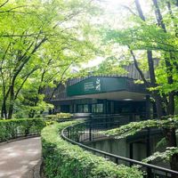 山崎厚重、白州清冽、响平衡：三款日威谁才是你的真命天子？