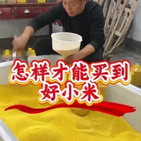 黄小米选购指南：产地、外观与熬煮测试要点解析