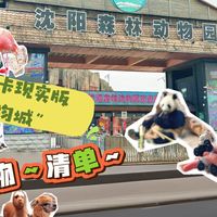 谁说五一只能看人海？带娃闯入现实版“疯狂动物城”附图文攻略