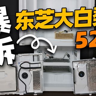 全网“暴力”首拆,东芝大白梨528值得买吗?