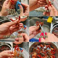 厨房小白秒变大师|蒜蓉龙虾香到邻居砸门(附清洗过程)