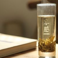 好喝的茉莉花茶推荐，近期喝过茉莉花茶的个人感受