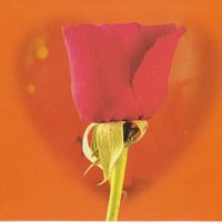 群星.2002 -《真情对唱8CD》CD1 环球巨星全新原装经典对唱系列