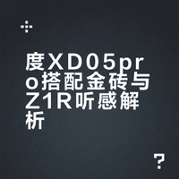 乂度XD05pro搭配金砖和Z1r听感分享