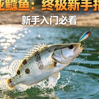 路亚鳜鱼：终极新手指南