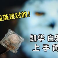 上手简评 凯华 白枭mini 短行程有声段落矮轴 —— 是时候吹响传统派反攻的号角 夺回有声段落往日的荣光了！