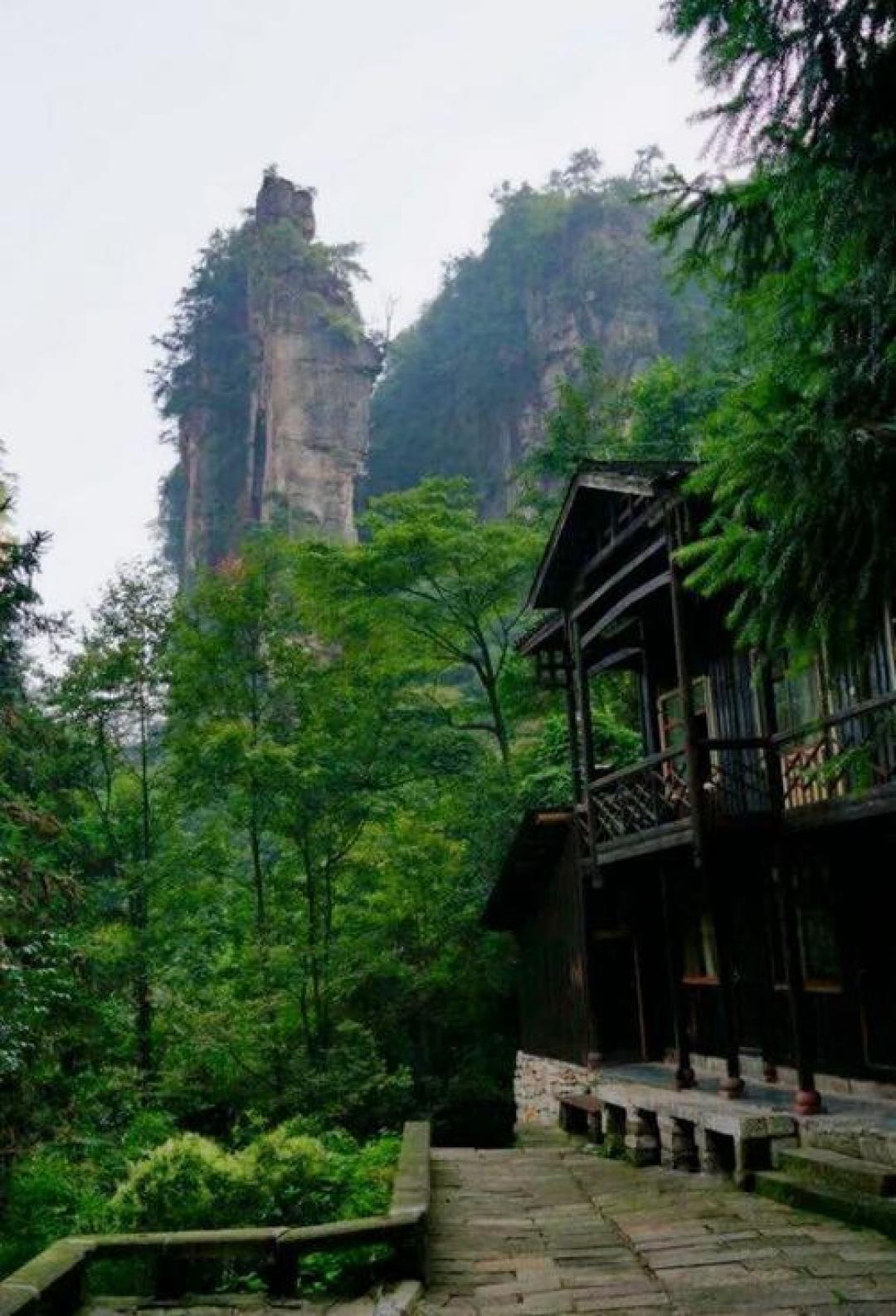 张家界不止有奇峰,去白虎秘境溯溪,荡一次现实版的瀑布秋千