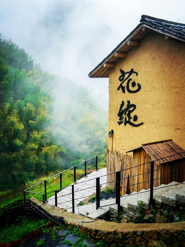 五一反向出逃！松阳小众江南秘境太治愈