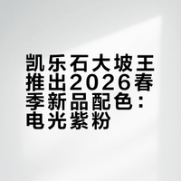 大坡王电光紫粉，属于2026年春天的颜色👟👟