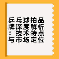 如何评价各个乒乓球拍的品牌？