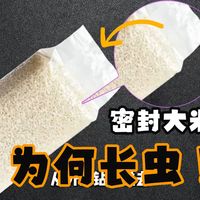 一袋密封好的大米，为什么会长出虫子？