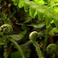 送长辈的茶叶推荐：暖心养生茶礼精选参考