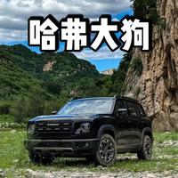 哈弗大狗车型解析：10万级轻越野SUV的亮点与槽点