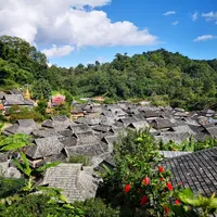 五一旅行漫步茶园，品醇香普洱