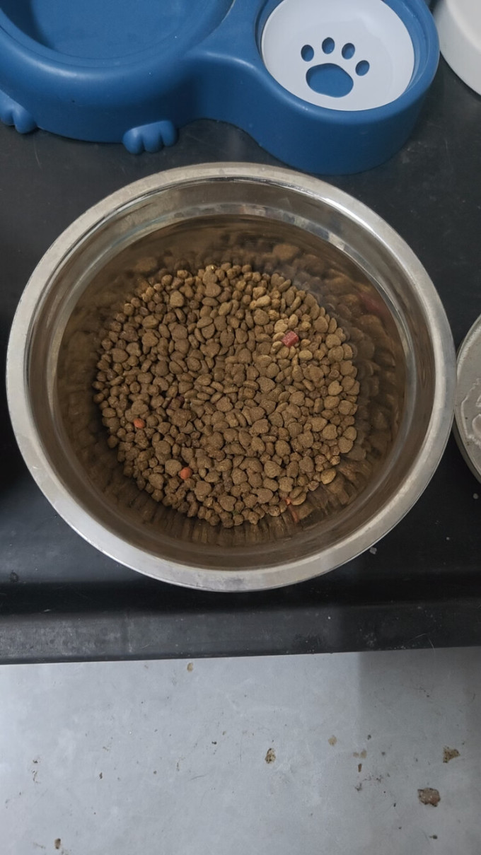 狗粮