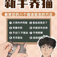 新手养猫