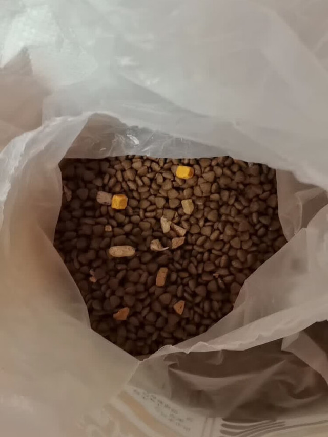 大型犬狗粮怎么选？这款卫加真香！