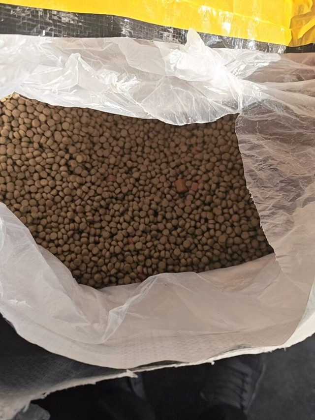 多宠家庭的平价狗粮选择