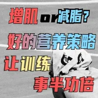 增肌与减脂的科学营养策略:像保养汽车一样管理身体