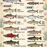 🐟『鲑』虹鳟是🍣三文鱼吗？